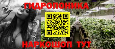 круглые Тулун