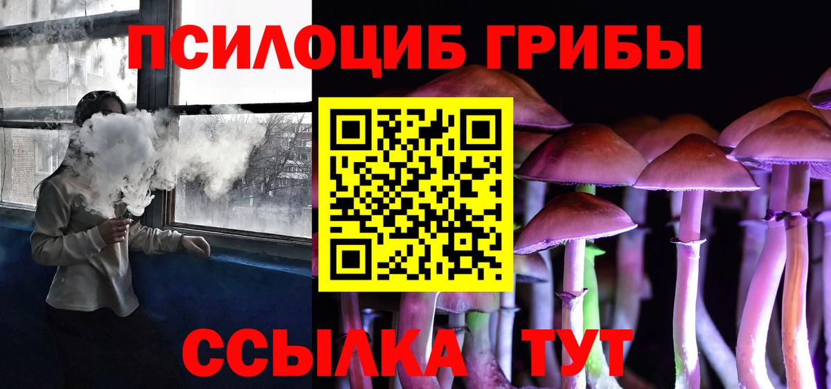 Галлюциногенные грибы MAGIC MUSHROOMS Заводоуковск