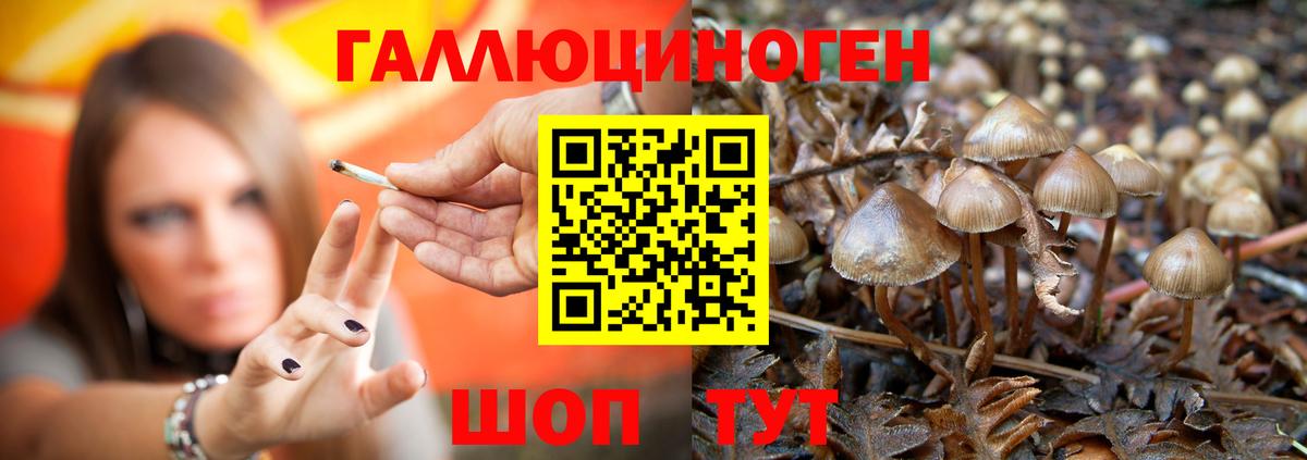 Галлюциногенные грибы MAGIC MUSHROOMS  Вход с VPN  Заводоуковск 